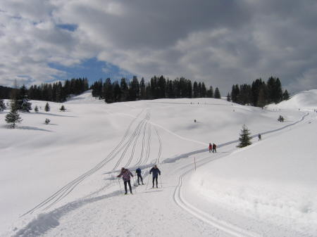 Loipe auf der Oberen Hemmersuppenalm