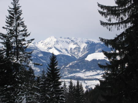 Alpenpanorama