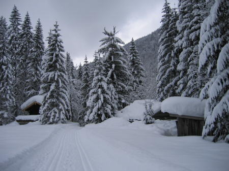 Winterwald mit H�tten