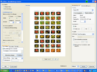 ACDSee-Kontaktabzug-kl ACDSee-Kontaktabzug-kl