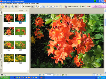 ACDSee-PDF-File-kl ACDSee-PDF-File-kl