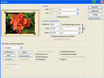 Photoshop-Bruckvorschau-kl